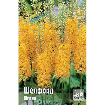Ширяш Шелфорд I 10 шт Биг-Пак 3747