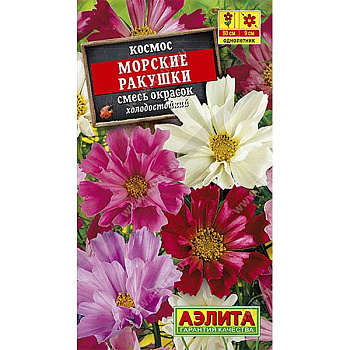 Космос Морские ракушки Аэлита Ц 