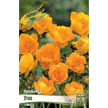 2529 Биг-Пак Купальница Этна I 25 шт 