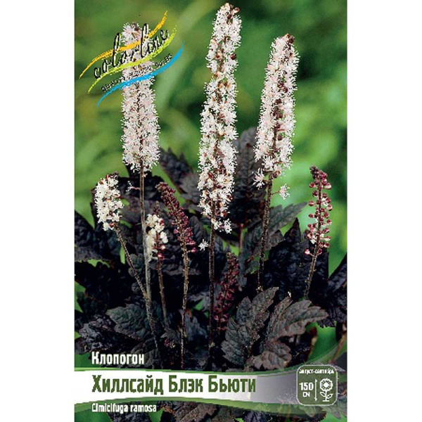 5851 Биг-Пак Клопогон Хиллсайд Блэк Бьюти I 25 шт 