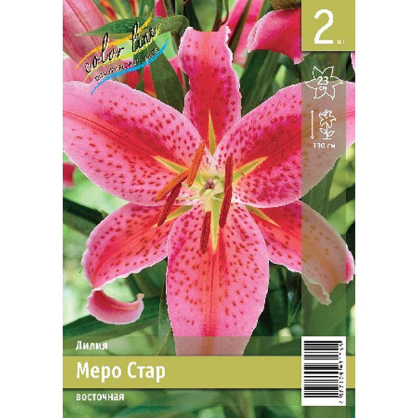 Лилия Меро Стар 12/14 2 Эконом шт 