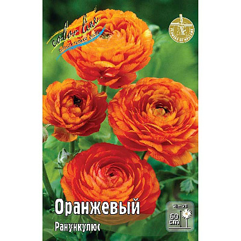 Ранункулюс Оранжевый 6/7 10 шт