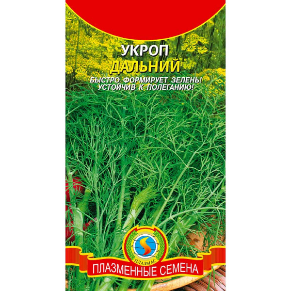 Укроп Дальний Плазма Ц
