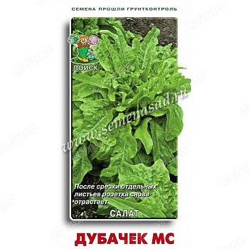 Салат Дубачек Поиск Ц