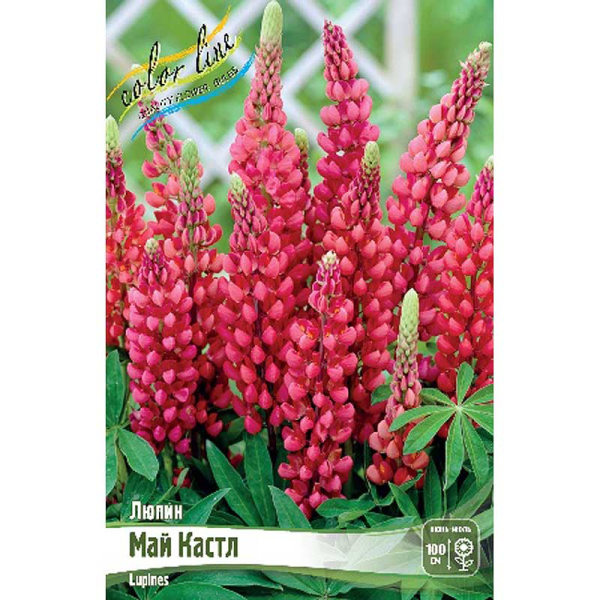 8485 Биг-Пак Люпин Май Кастл I 50 шт