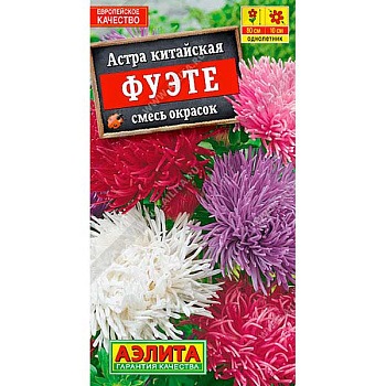 Астра Фуэте Аэлита Ц 