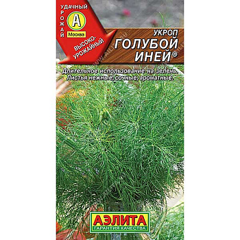 Укроп Голубой Иней Аэлита Ц