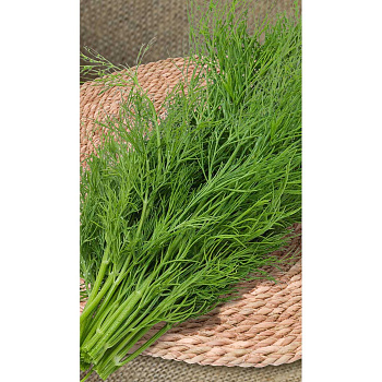 Укроп Дельта 1гр Greenomica/Садовита Ц