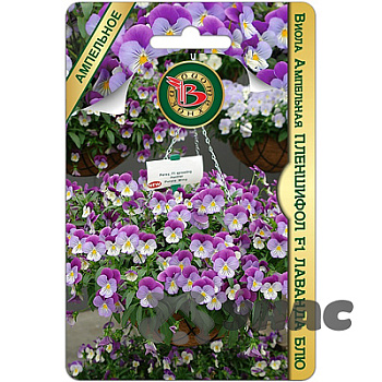 Виола Пленшифол Лаванда Блю Биотехника Ц 