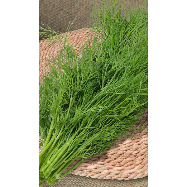 Укроп Дельта 1гр Greenomica/Садовита Ц