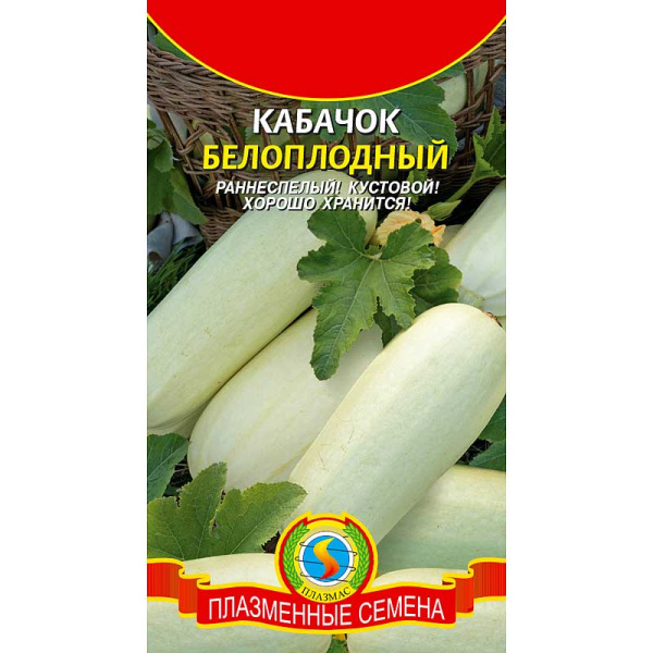 Кабачок Белоплодный Плазма Ц