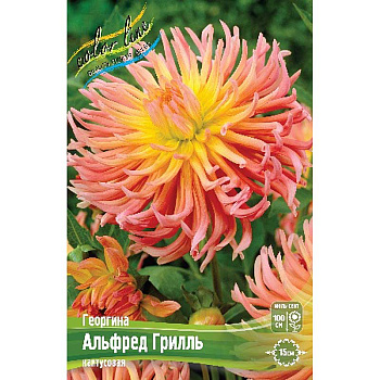 9045 Шоу-Бокс Георгина Альфред Грилль 15 шт