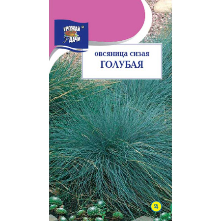 Овсяница Сизая Голубая Урожай у дачи Цх10 