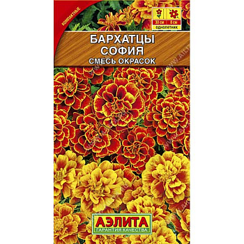 Бархатцы София отклоненные Аэлита Ц 