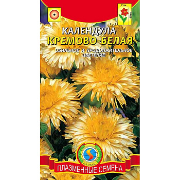 Календула Кремово-белая Плазма Ц 
