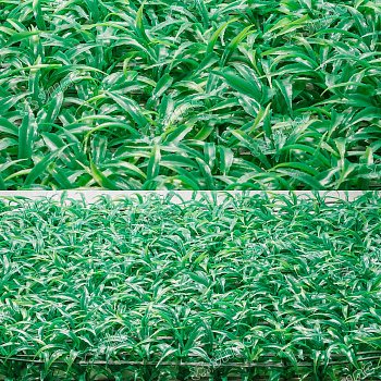 Искусственный газон 60*40см NA1536 трава "широкая" (цена за 10шт)
