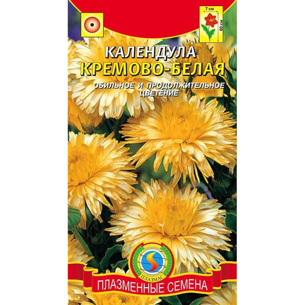 Календула Кремово-белая Плазма Ц 
