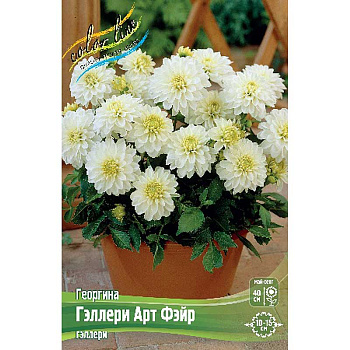 Георгина Гэллери Арт Фэйр I 1 шт