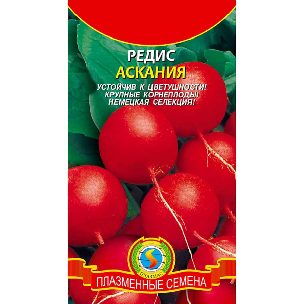 Редис Аскания Плазма Ц