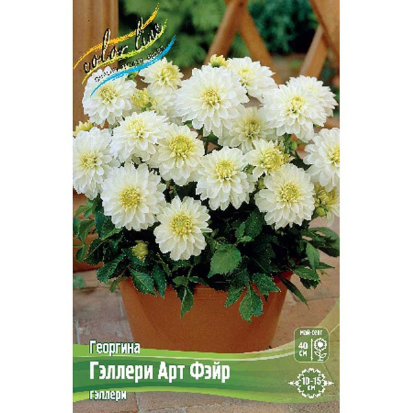 Георгина Гэллери Арт Фэйр I 1 шт