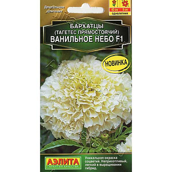 Бархатцы Ванильное небо Аэлита Ц 