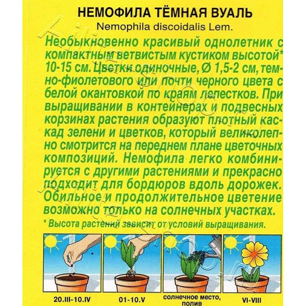 Семена Немофила Темная вуаль Аэлита Ц 