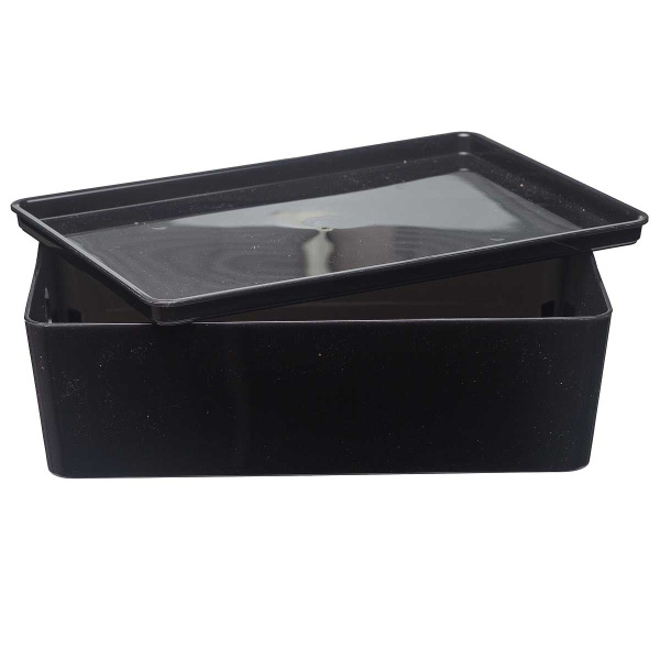 Контейнер ВЕРСА S Прозрачно-черный х20