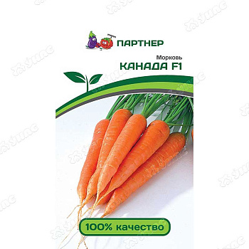 Морковь Канада  Партнер Ц
