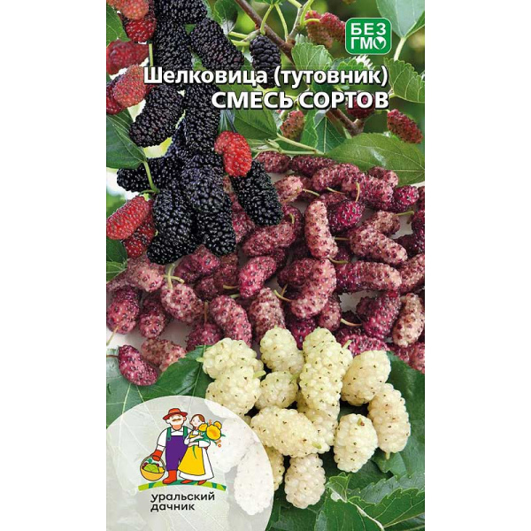 Шелковица (тутовник) Розовая Марс Ц