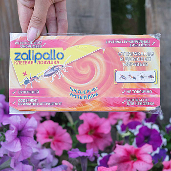 Ловушка для тараканов и муравьев ZALIPALLO домик 5 шт х20