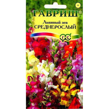 Львиный зев среднерослый смесь Гавриш Ц 
