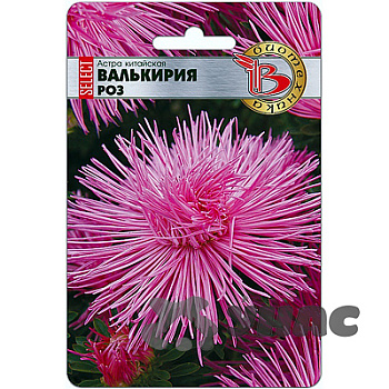 Астра Валькирия SELECT Роз Биотехника Ц 
