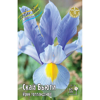 Ирис Голл. Скай Бьюти 8/+ 150 шт Шоу-Бокс 7617