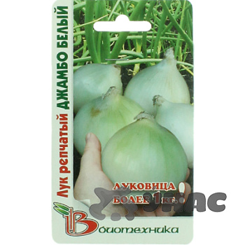 Лук Джамбо Белый Биотехника Ц