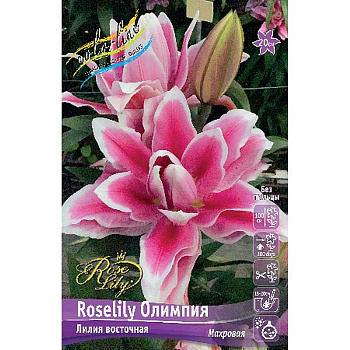16209 Биг-Пак Лилия Roselily Олимпия 16/18 25 шт 