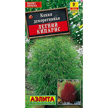 Кохия Летний кипарис Аэлита Ц