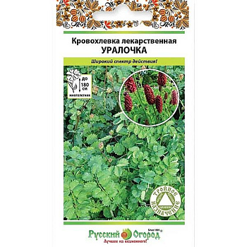 Кровохлебка Уралочка лекарственная НК Ц