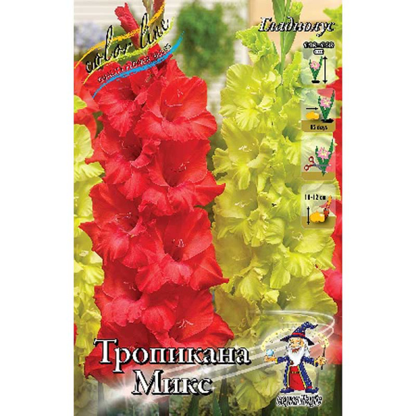Гладиолус Тропикана Микс 10/12 6 шт