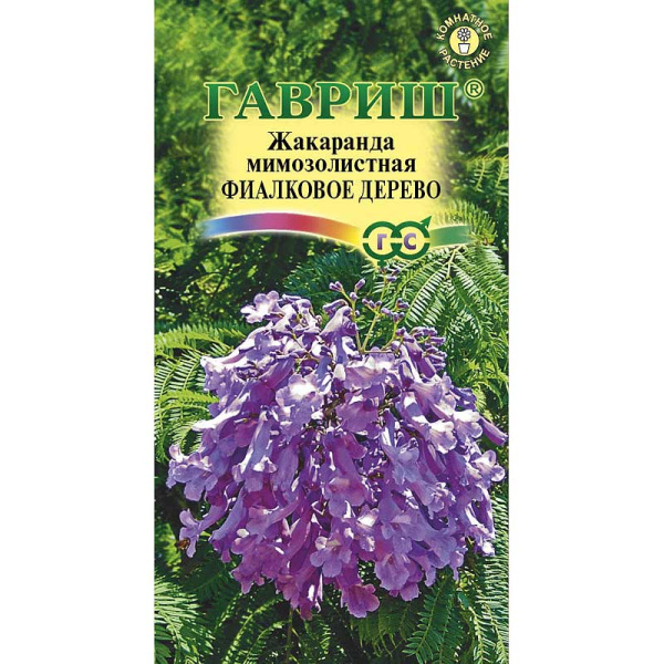 КОМ Жакаранда Фиалковое дерево Гавриш Ц 