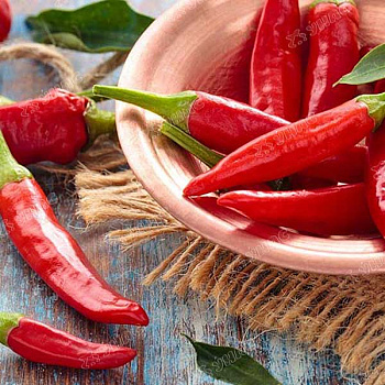 Пе Блэйд острый (Франция) Каприс