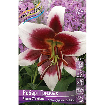 Лилия Роберт Гризбах 12/14 25 шт Биг-пак 10540 