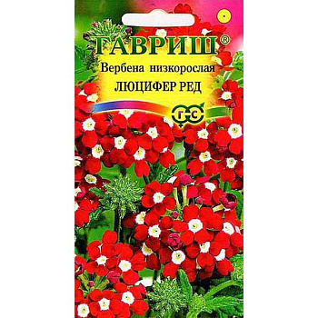 Вербена Люцифер Ред низкая Гавриш Ц 