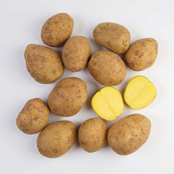 Картофель Богатырь Суперэлита (коробка 25кг +/-5%)