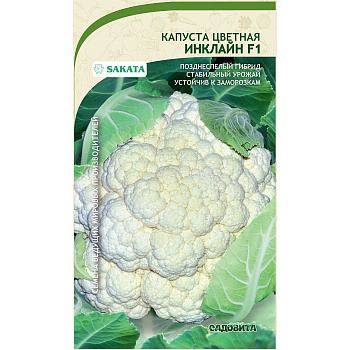 Капуста цветная Инклайн F1 10шт Sakata/Садовита Ц