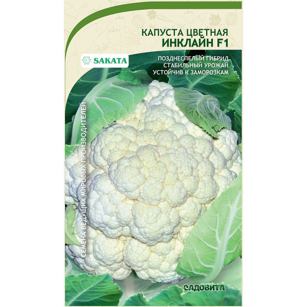 Капуста цветная Инклайн F1 10шт Sakata/Садовита Ц