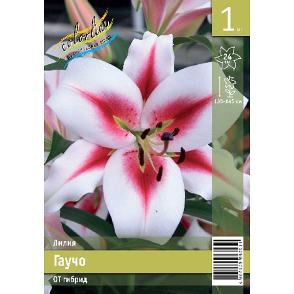 Лилия Гаучо 14/16 1 Эконом шт