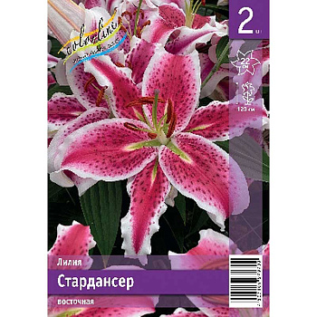 Лилия Стардансер 12/14 2 Эконом шт