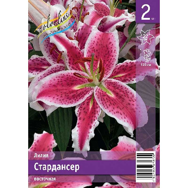 Лилия Стардансер 12/14 2 Эконом шт