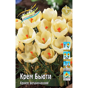 Шоу-бокс Крокус Крем Бьюти 5/+ 200 шт