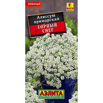 Алиссум Горный снег Аэлита Ц 